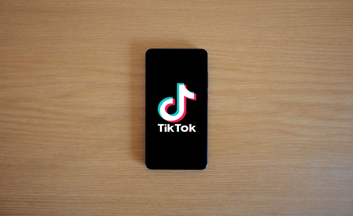 TikTok Video Downloading