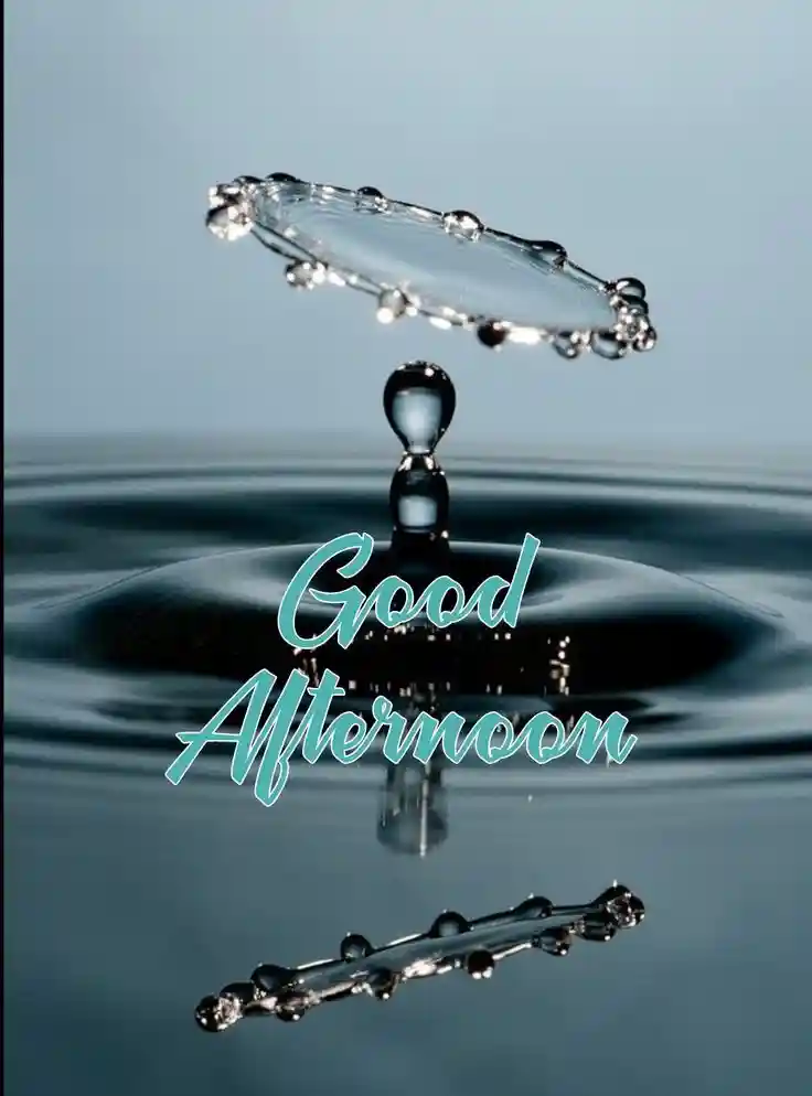 good-afternoon-images-for-whatsapp