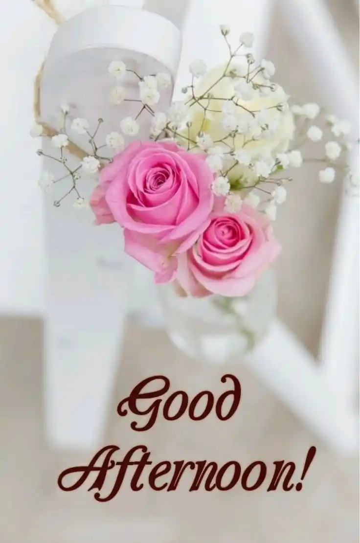 good-afternoon-images