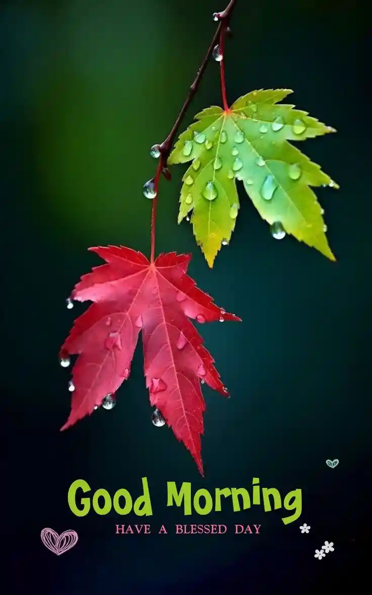 good-morning-love-images