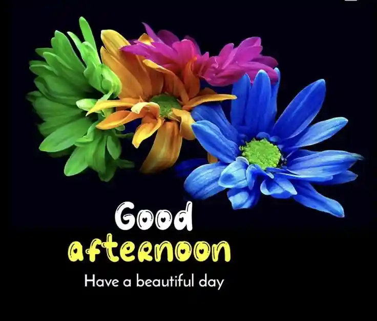 lovely-good-afternoon-images