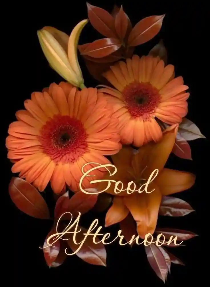 new-good-afternoon-images