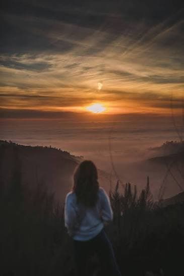 Nature Aesthetic Girls DP 
